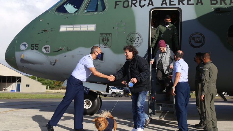Mapa facilita o ingresso de cães e gatos de cidadãos repatriados e refugiados do conflito armado na Ucrânia.