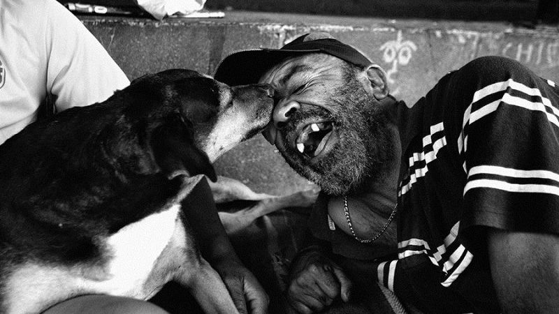 Agora é lei! Em São Paulo, moradores de rua podem entrar em abrigos com seus animais de estimação.