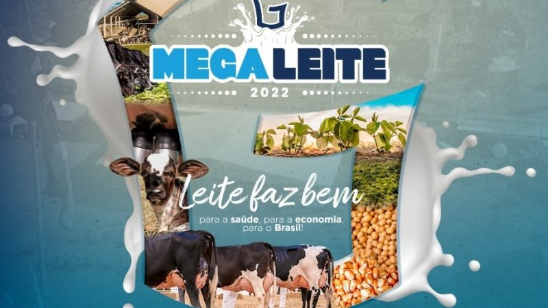 Megaleite 2022.