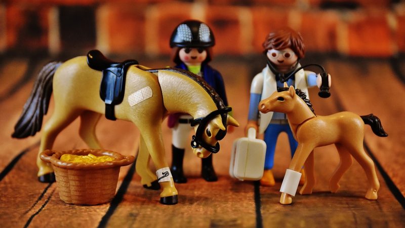 Registro de Especialista Médico Veterinário (CFMV).