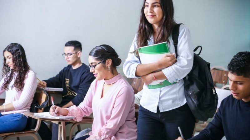 Bolsa de Estudo para Estudantes de Veterinária MSD.