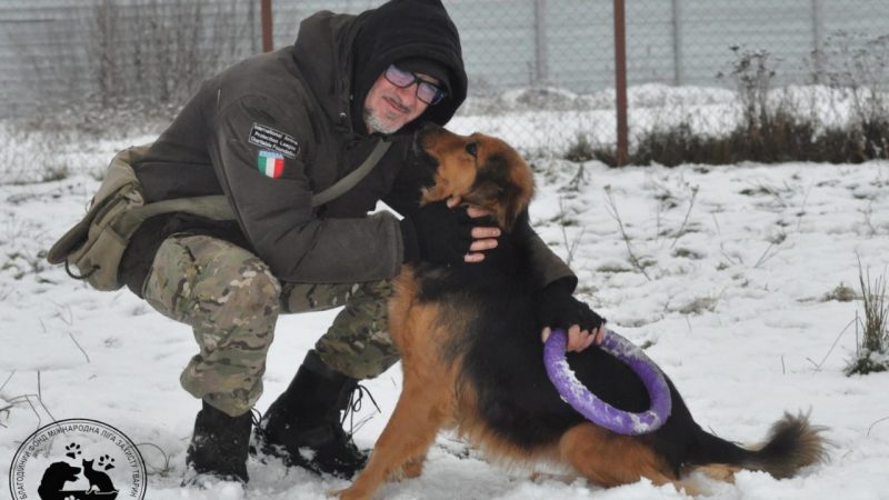 Ucraniano se recusa a abandonar seu abrigo de animais e ‘prefere morrer’ do que deixá-los.
