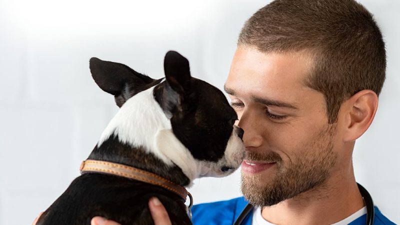 BURNOUT E A SÍNDROME DA COMPAIXÃO NA MEDICINA VETERINÁRIA.