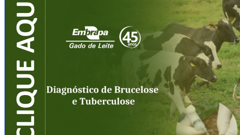 Curso Presencial: Diagnóstico de Brucelose e Tuberculose.