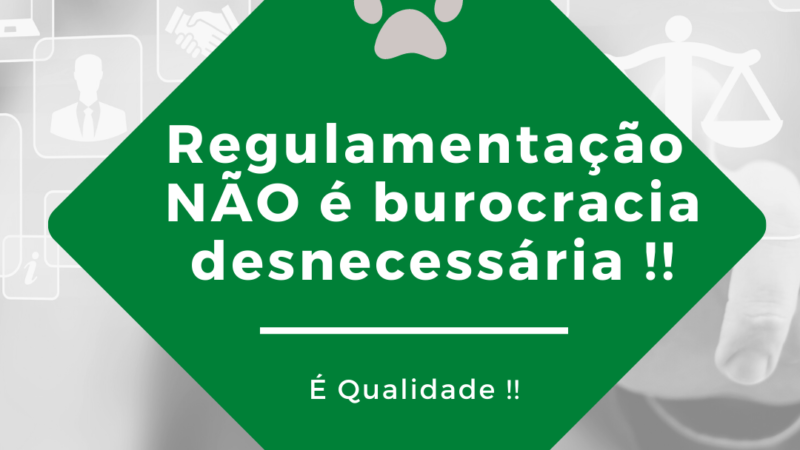 A regulamentação não é burocracia desnecessária, como muitas pessoas pensam.