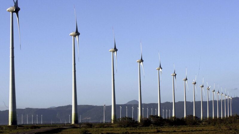 Começa neste domingo, no Egito, a COP 27, Cúpula do Clima da ONU.