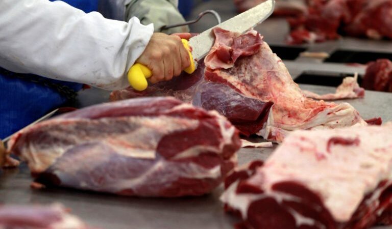 Queda da arroba bovina e salto na exportação elevam margens de frigoríficos no Brasil.