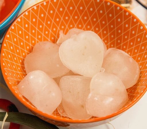 A temperatura vai esquentando e como os nossos pets ficam?