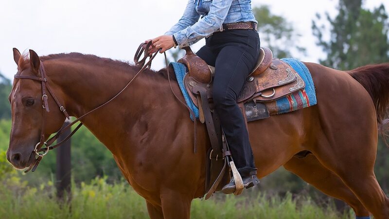 ANDAR A CAVALO PODE AJUDAR A EMAGRECER.