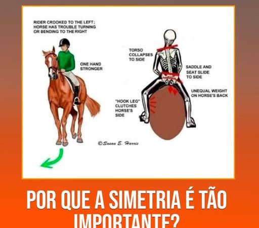 PORQUE A SIMETRIA É TÃO IMPORTANTE?