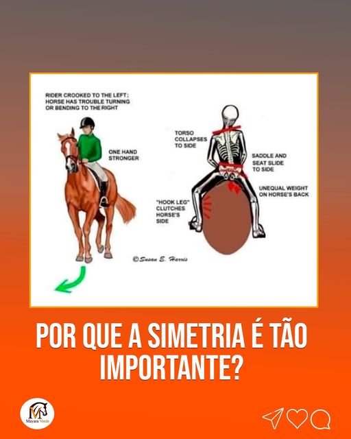 PORQUE A SIMETRIA É TÃO IMPORTANTE?