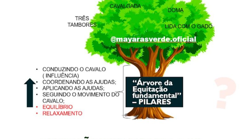 EQUITAÇÃO FUNDAMENTAL E AS MODALIDADES. TEM DIFERENÇA?
