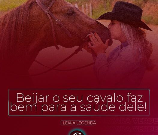 Beijar o seu cavalo faz bem para a saúde dele!
