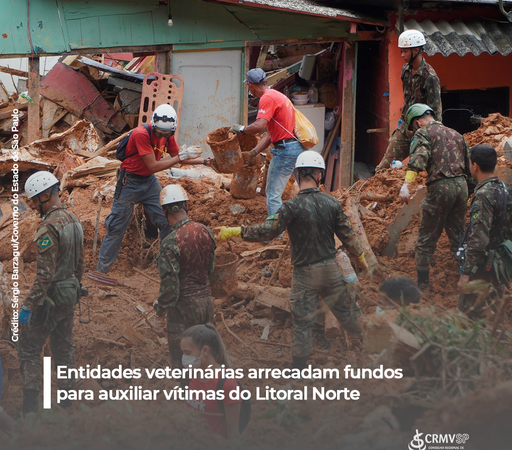 Entidades veterinárias arrecadam fundos para auxiliar vítimas do Litoral Norte.