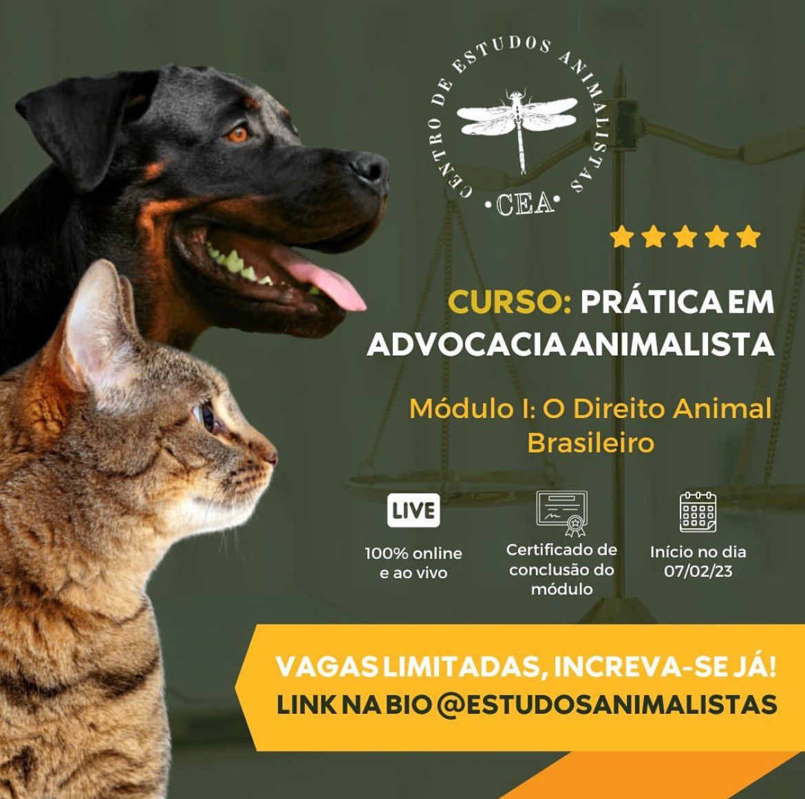 Curso: Prática em Advocacia Animalista – MÓDULO I.