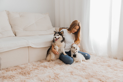 Os Prós e Contras de Adotar Dois Cães.