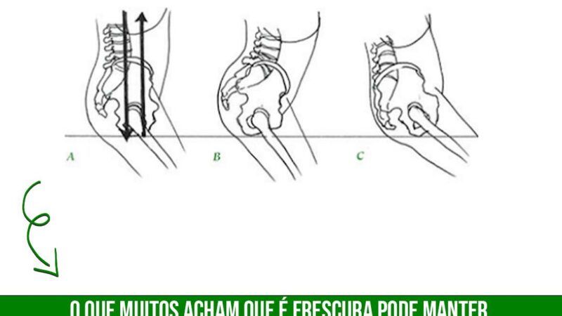 Vocês sabem que eu amo falar de Biomecânica do Centauro e principalmente do quadril.