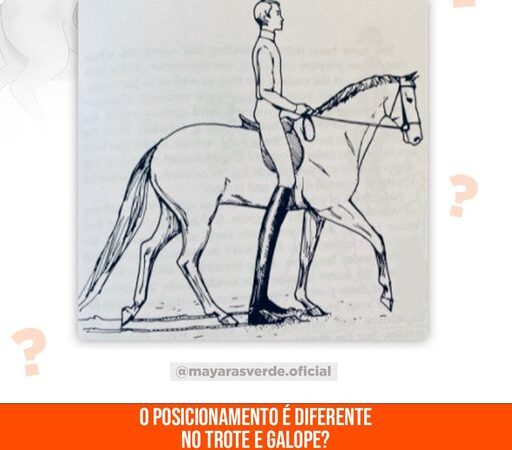O Posicionamento é Diferente no Trote e Galope?