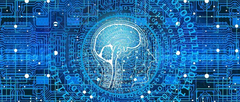 A inteligência artificial na medicina veterinária leva à eficiência e precisão superior.