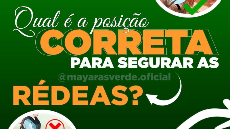 Você não sabe qual é a forma correta de segurar as rédeas?
