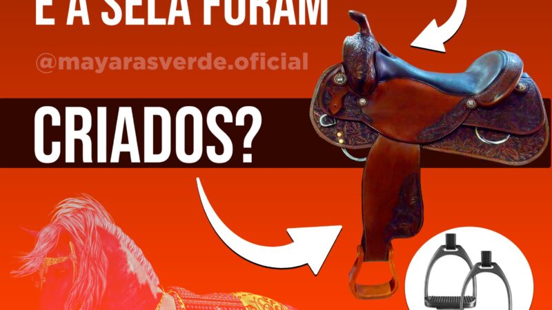 POR QUE O ESTRIBO E A SELA FORAM CRIADOS?