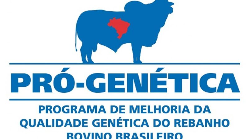 Confira as datas e locais das Feiras de Touros Pró-Genética da primeira quinzena de julho.