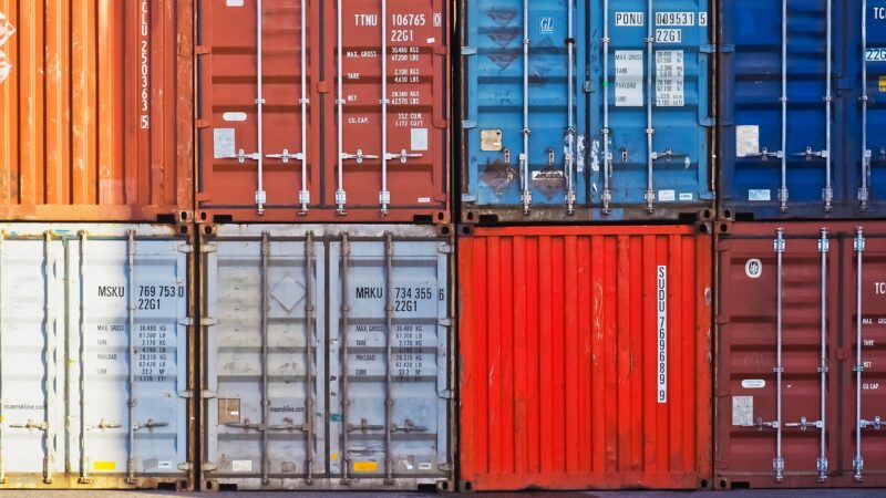PERSPEC 2023-BOI/CEPEA: Oferta e demanda domésticas devem ter mais protagonismo na formação de preço.