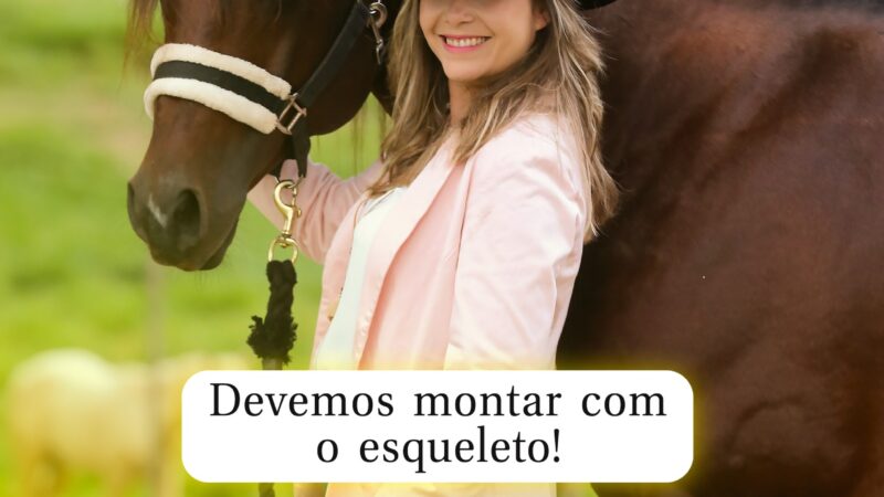 Devemos montar com o esqueleto!