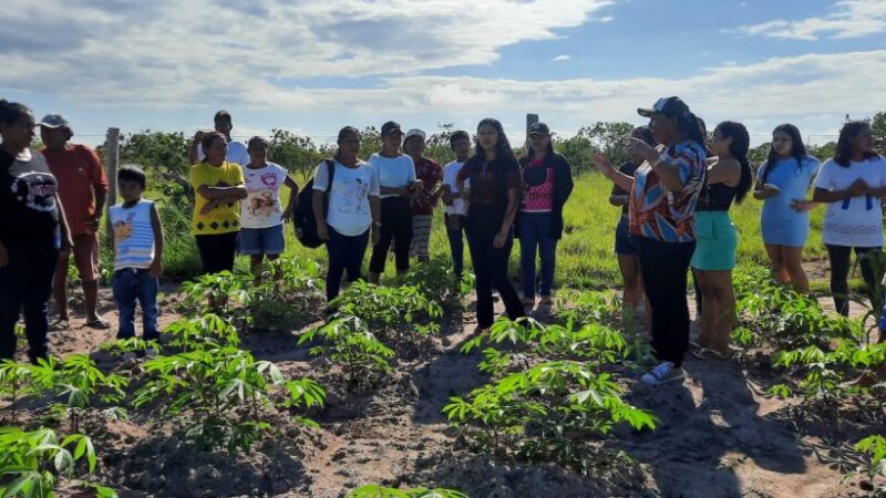 Comunidades Jauari e Livramento apresentam projetos de agricultura, bovinocultura e artesanato.