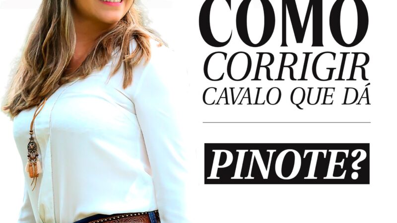 Você sabe o que fazer e quais as causas de um cavalo que dá pinote? 🤔👇🐎🐴