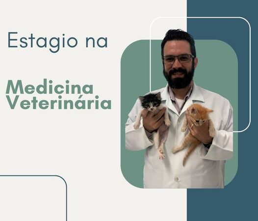 Estágio na Medicina Veterinária.