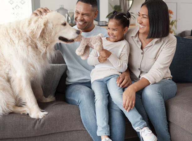 Parte da família: relação entre pessoas e seus animais de estimação aquece o mercado Pet.