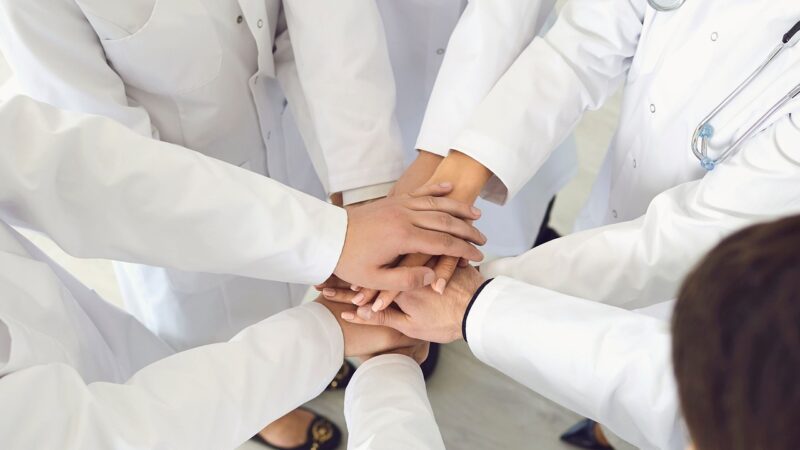 Gestão Técnica em todas as áreas da Medicina Veterinária SIM SENHOR!