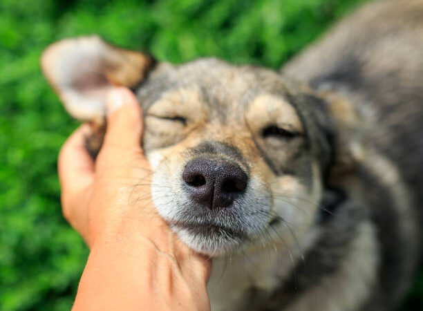 O que é fazer tudo para você. Fazer com Amor é TUDO. Fazer onde o limite chega, é TUDO.