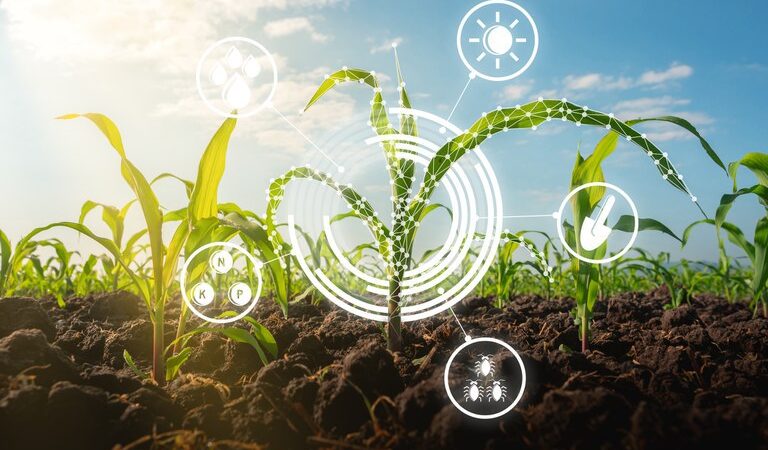 Mapa e Serpro celebram acordo de cooperação para a criação da Plataforma Digital de Inovação Agropecuária.