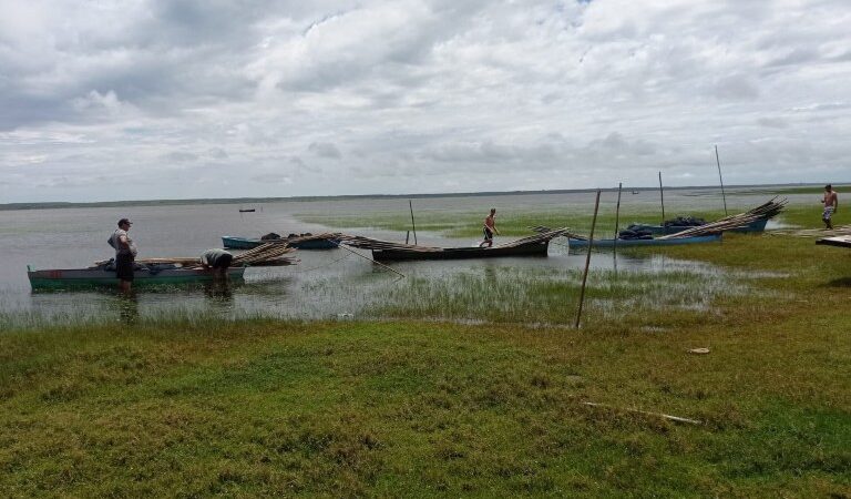 Temporada anual da pesca artesanal do camarão-rosa é iniciada na Lagoa do Peixe.