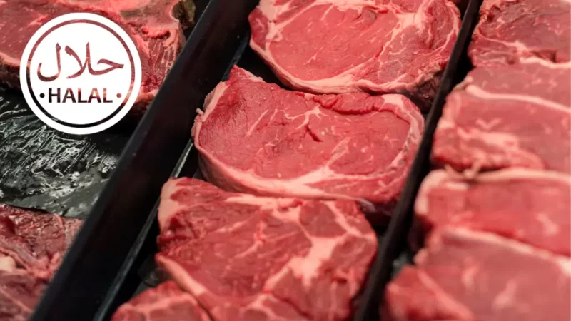 O que é carne halal e qual seu potencial no cenário brasileiro?