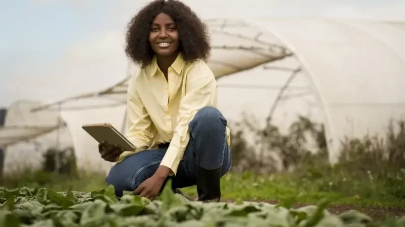 Pequenos produtores têm aumento de faturamento em 17%, na média, com orientação do projeto ALI Rural.