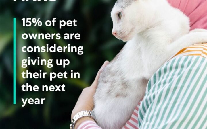 Avança o número de famílias que não querem mais Pets.