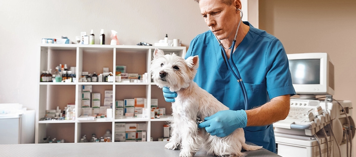 ONCOLOGIA VETERINÁRIA.