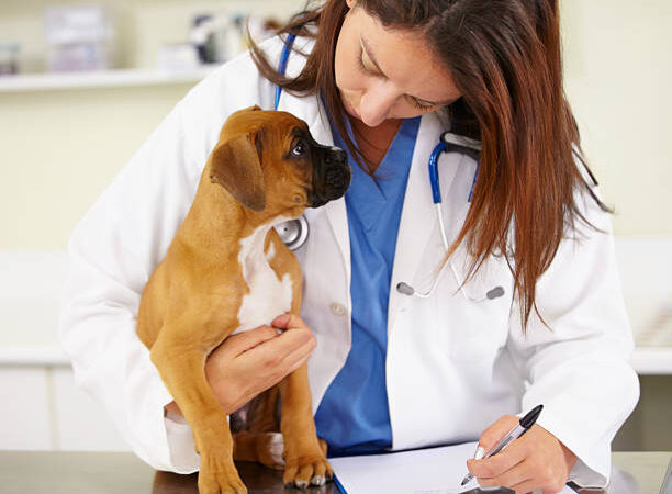Salvemos a Medicina Veterinária!