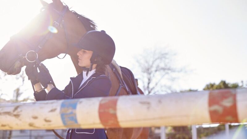 Equinos atletas: segredos para o manejo adequado.