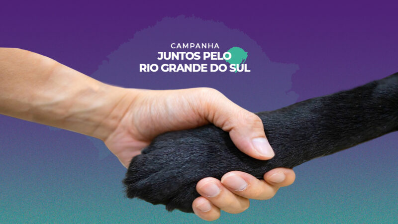 Juntos pelo Rio Grande do Sul: sede do CRMV-SP será ponto de coleta.