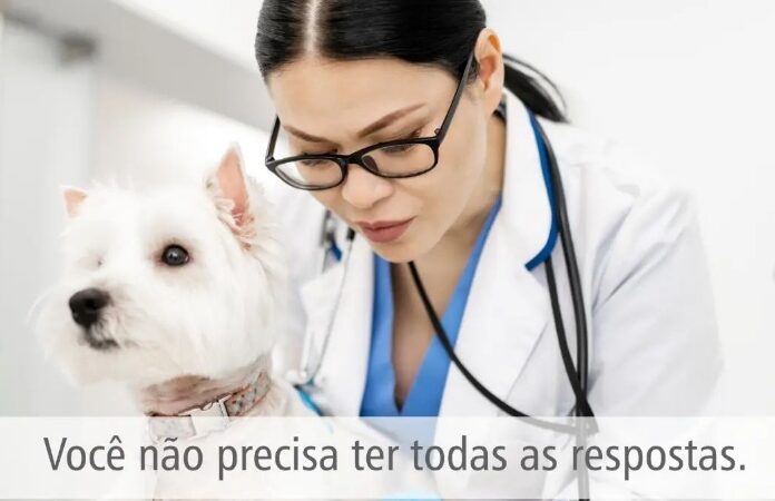 Você não precisa ter todas as respostas.