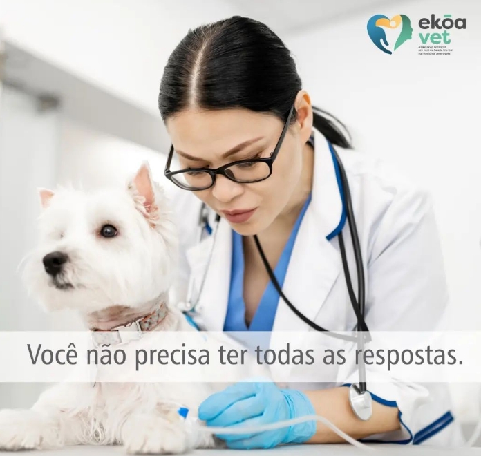 Você não precisa ter todas as respostas.