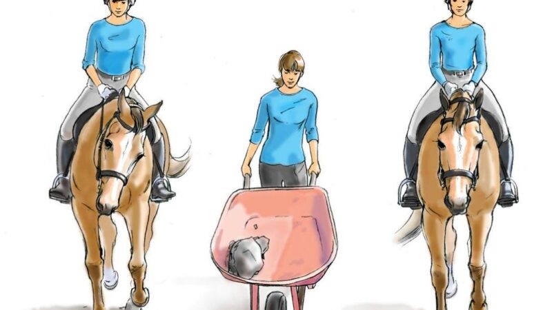“A equitação acaba sendo mais fora do cavalo do que sobre.”