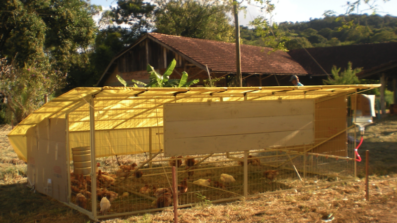 GALINHEIRO/AVIÁRIO MÓVEL NOS SISTEMAS ORGÂNICOS.