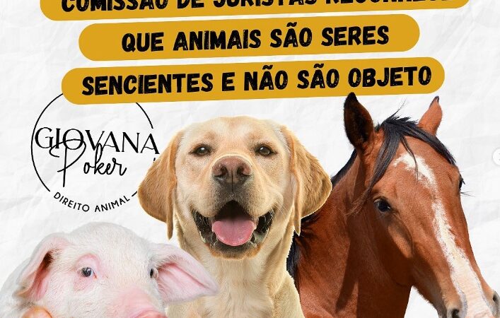 Reforma do Código Civil – Comissão de Juristas Reconhece que Animais são Seres Sencientes  e Não são Objeto.