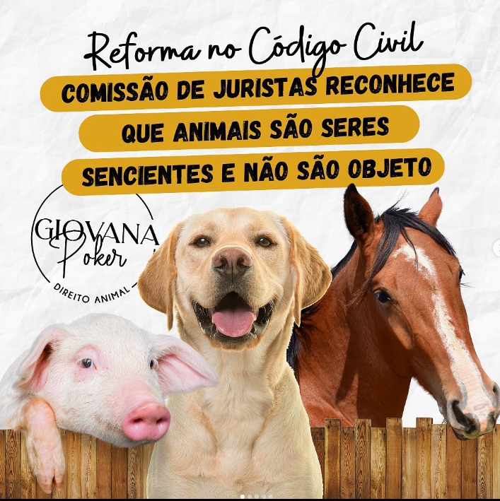 Reforma do Código Civil – Comissão de Juristas Reconhece que Animais são Seres Sencientes e Não são Objeto.