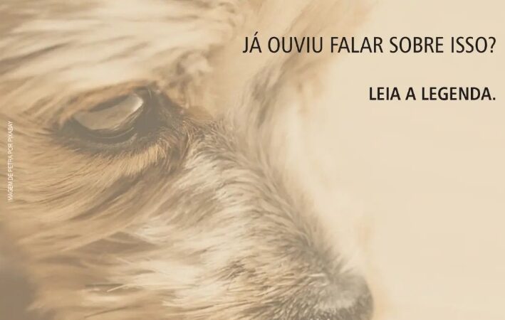 VOCÊ CONHECE A TEORIA DO ELO?